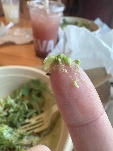 Photo of CAVA - 5100 N 9th Ave #501, Pensacola, FL 32504