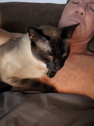 Photo of Dairy Queen Grill & Chill - 220 E 3 Notch St, Andalusia, AL 36420