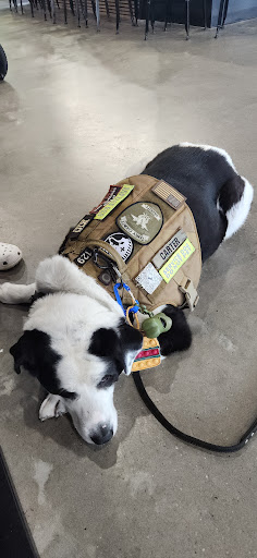 Photo of Wendy's - 320 Western Bypass, Andalusia, AL 36420