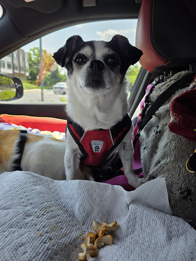 Photo of The Great Greek Mediterranean Grill - Ann Arbor, MI - 3268 Ann Arbor-Saline Rd, Ann Arbor, MI 48103