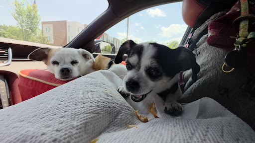 Photo of The Great Greek Mediterranean Grill - Ann Arbor, MI - 3268 Ann Arbor-Saline Rd, Ann Arbor, MI 48103