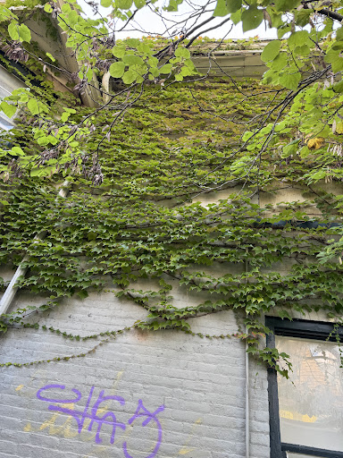 Photo of Spiedo - 307 S 5th Ave, Ann Arbor, MI 48104