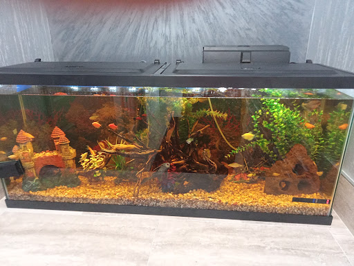 Photo of Turkish Kebab House - 1157 Campbell Ave, West Haven, CT 06516