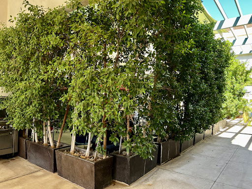 Photo of Pitta Souvli Mediterranean Grill - 1940 S Alma School Rd #5, Chandler, AZ 85286