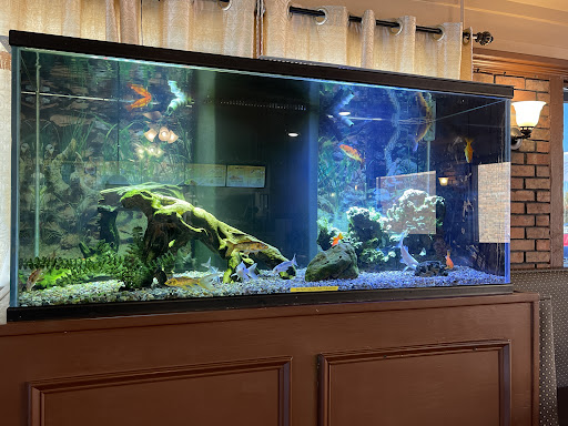 Photo of Golden Wok - 2809 Pine St, Arkadelphia, AR 71923