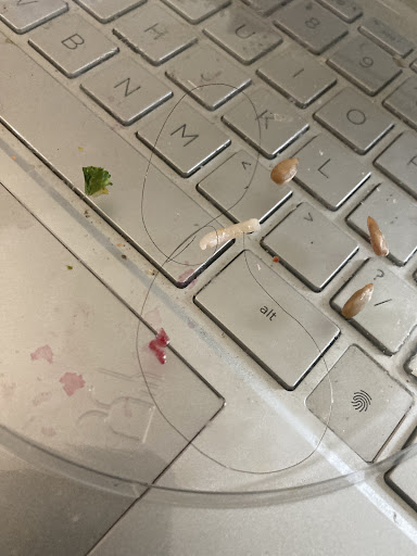 Photo of mezeh - 8821 Woodyard Rd #105, Clinton, MD 20735