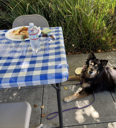 Photo of Royal Egyptian Cuisine - Emeryville Greenway, Berkeley, CA 94710