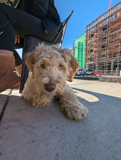 Photo of Falafel, etc. - 39200 Fremont Blvd, Fremont, CA 94538