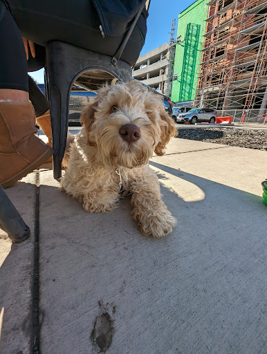 Photo of Falafel, etc. - 39200 Fremont Blvd, Fremont, CA 94538