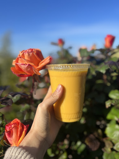 Photo of Falafelle - 1035 Ralston Ave, Belmont, CA 94002