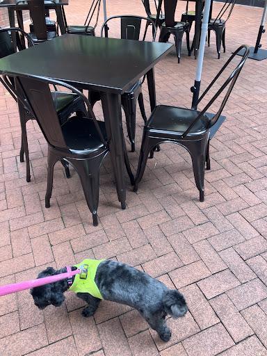 Photo of Dalia's Falafel - 7750 Old Georgetown Rd, Bethesda, MD 20814