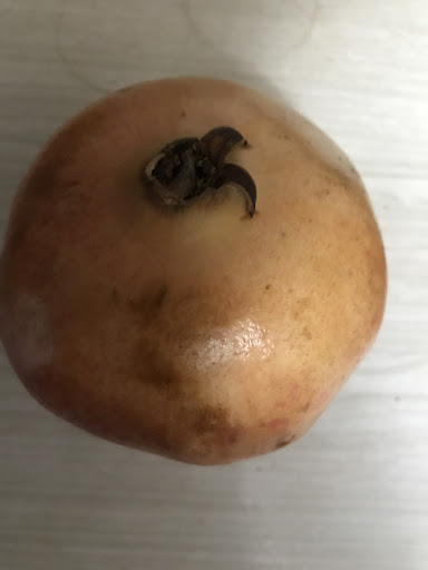 Photo of Yekta Supermarket - 1488 Rockville Pike A, Rockville, MD 20852