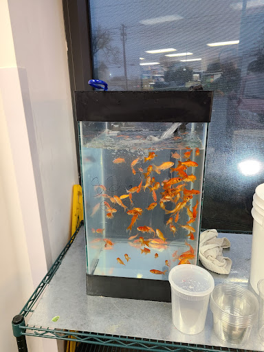 Photo of ​Gourmet Bazaar, Kabob & Deli - 736-A Rockville Pike, Rockville, MD 20852