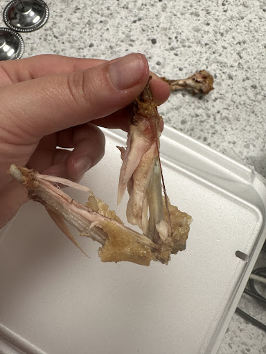 Photo of Purple Onion - 737 29th St S, Birmingham, AL 35233