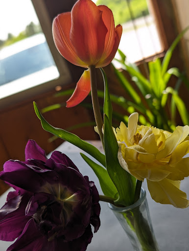 Photo of Greek Cafe Restaurant - 3725 US-11, Riceville, TN 37370