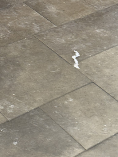 Photo of Olga's Kitchen - 2580 N Squirrel Rd, Auburn Hills, MI 48326