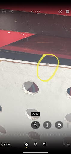 Photo of Falafel Place - 1 Main St, Somerville, MA 02145