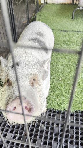 Photo of Ol'chefskis BBQ - 15 Trails End, Aurora, OH 44202