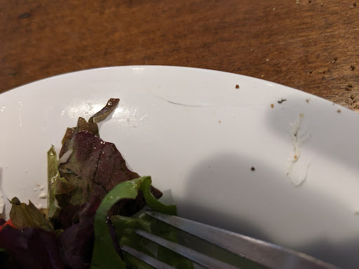 Photo of Taziki's Mediterranean Cafe - Tallahassee - 216 S Magnolia Dr, Tallahassee, FL 32301