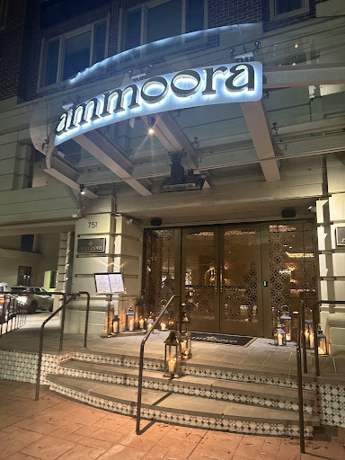 Photo of Ammoora - 751 Key Hwy, Baltimore, MD 21230
