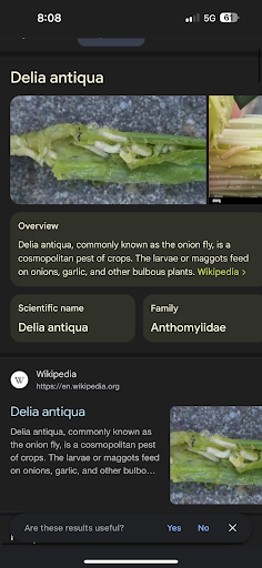 Photo of Sakura Express - 9 Washington St NE, Brainerd, MN 56401
