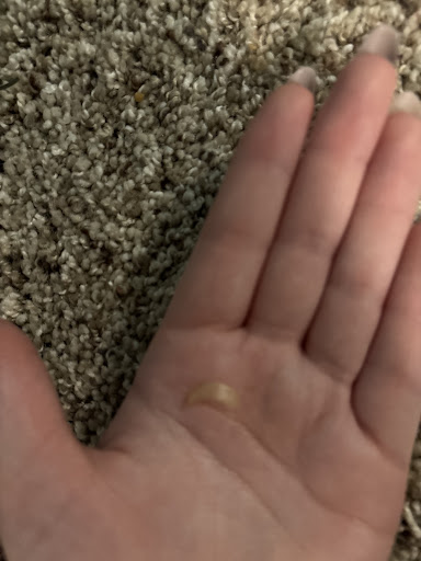 Photo of Sakura Express - 9 Washington St NE, Brainerd, MN 56401