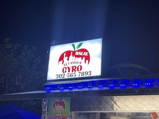 Photo of NY FAMOUS GYRO HALAL FOOD - 1147 Christiana Rd, Newark, DE 19713