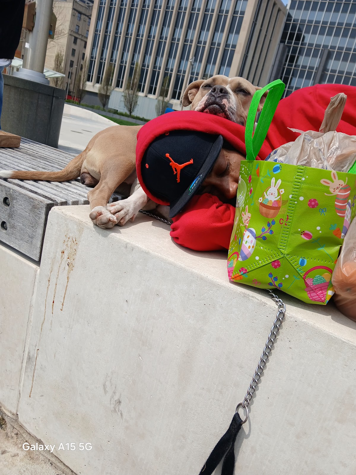 Photo of Taco Time food truck - 230 E Washington St, Indianapolis, IN 46204