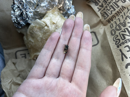 Photo of Chipotle Mexican Grill - 2388 S Oneida St, Ashwaubenon, WI 54304