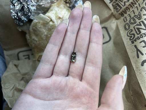 Photo of Chipotle Mexican Grill - 2388 S Oneida St, Ashwaubenon, WI 54304