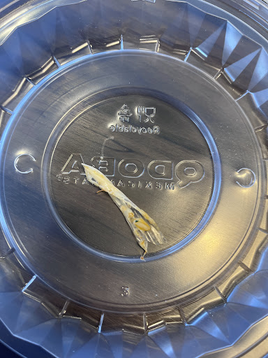 Photo of QDOBA Mexican Eats - 1000 Paul Bunyan Dr S, Bemidji, MN 56601