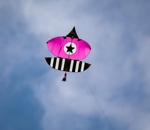 Photo of Gyro Spot - 476 S Broadway, Hicksville, NY 11801