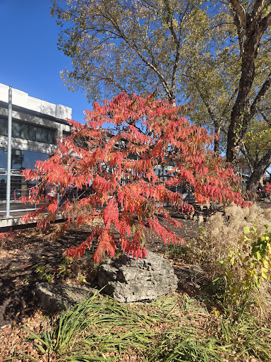 Photo of Freight House Farmers Market - 421 W River Dr, Davenport, IA 52801