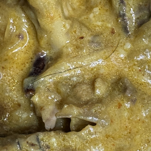 Photo of Chefs Masala - Halal Indian Restaurant - 192 Main St, Binghamton, NY 13905