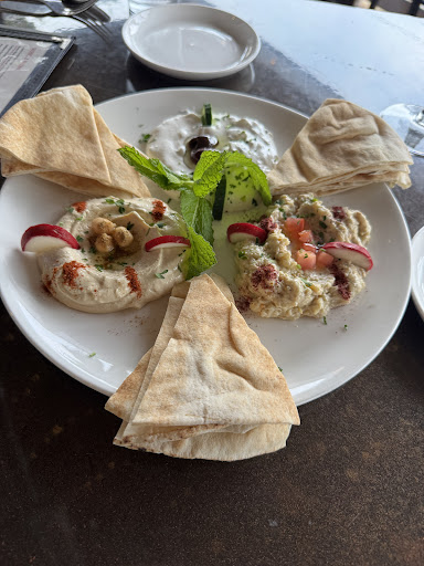 Photo of Habibi Lebanon Bar & Grill - 408 S Main St, Davidson, NC 28036