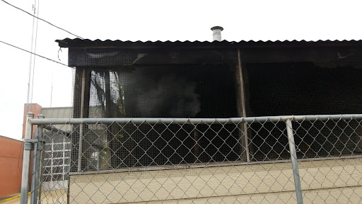 Photo of Yank's Famous Barbeque - 141 E Main St, Blytheville, AR 72315