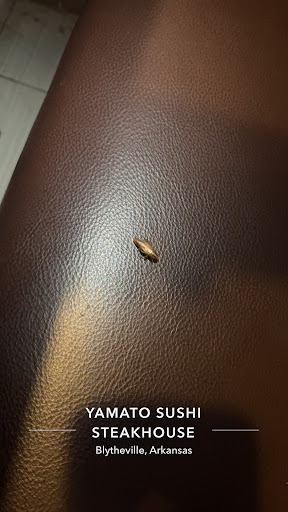 Photo of Yamato sushi steakhouse of Blytheville - 3702 E Main St, Blytheville, AR 72315