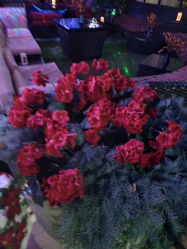 Photo of Reef Hookah & Grill - 99 SE Mizner Blvd #116, Boca Raton, FL 33432