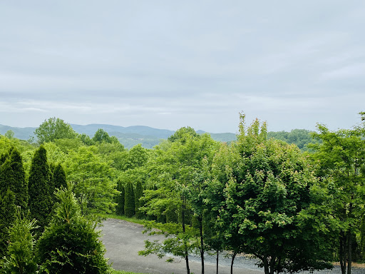 Photo of The Table at Crestwood - 3236 Shulls Mill Rd, Boone, NC 28607