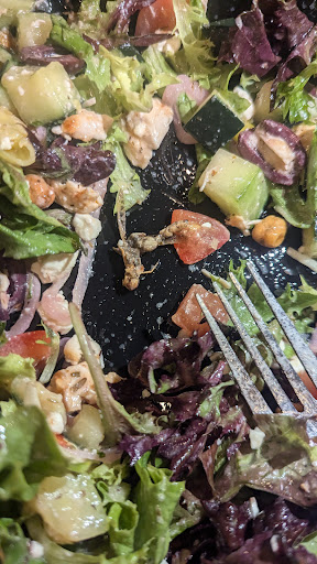 Photo of Luna Grill Santee - 9828 Mission Gorge Rd Suite B, Santee, CA 92071