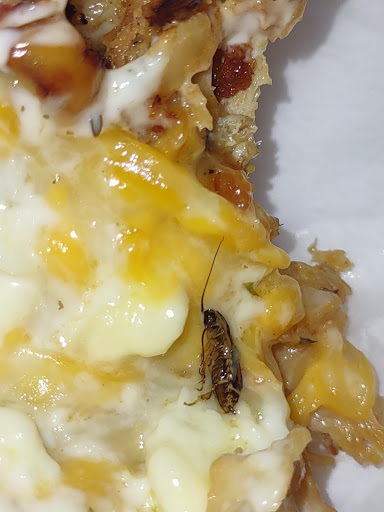 Photo of St Louis Taco and Pita Grill - 15493 Manchester Rd, Ballwin, MO 63011