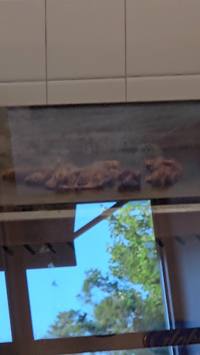 Photo of Naf Naf Grill - 816 Brayden Pkwy Ste. 102, Fort Mill, SC 29708