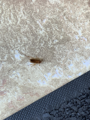 Photo of East Coast Wings + Grill - 2637 E Stone Dr, Kingsport, TN 37660