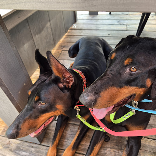 Photo of Glory Bound Gyro Co. - Hattiesburg, MS - 6174 US 49, Hattiesburg, MS 39401