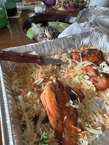 Photo of مطعم نجم اليمن Yemen Star Restaurant - 754 Sycamore St, Buffalo, NY 14211