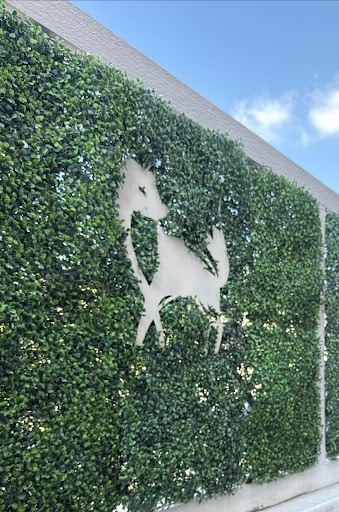 Photo of The Foxtail - 5237 Main St, Downers Grove, IL 60515