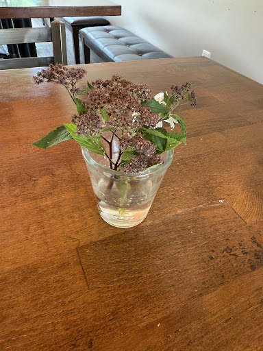 Photo of Bread Bites Mediterranean - 5100 Marsh Rd C, Okemos, MI 48864