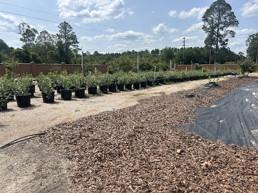 Photo of Zeezenia Farm & Sofra - 28143 SW 46th Ave North Entrance, Newberry, FL 32669