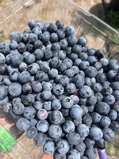 Photo of Zeezenia Farm & Sofra - 28143 SW 46th Ave North Entrance, Newberry, FL 32669