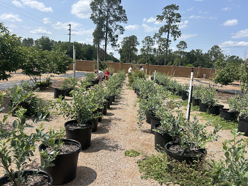 Photo of Zeezenia Farm & Sofra - 28143 SW 46th Ave North Entrance, Newberry, FL 32669